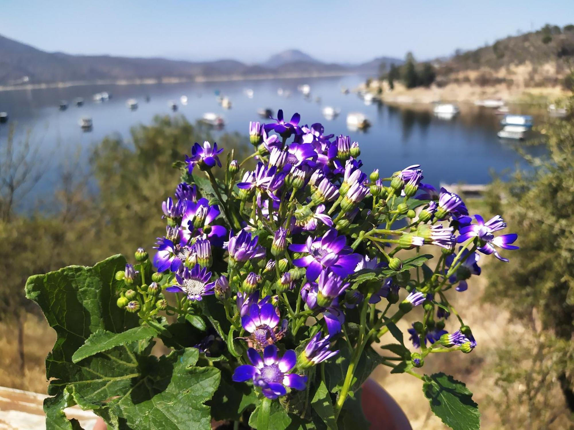Terrazas Del Lago Cabra Corral Dış mekan fotoğraf